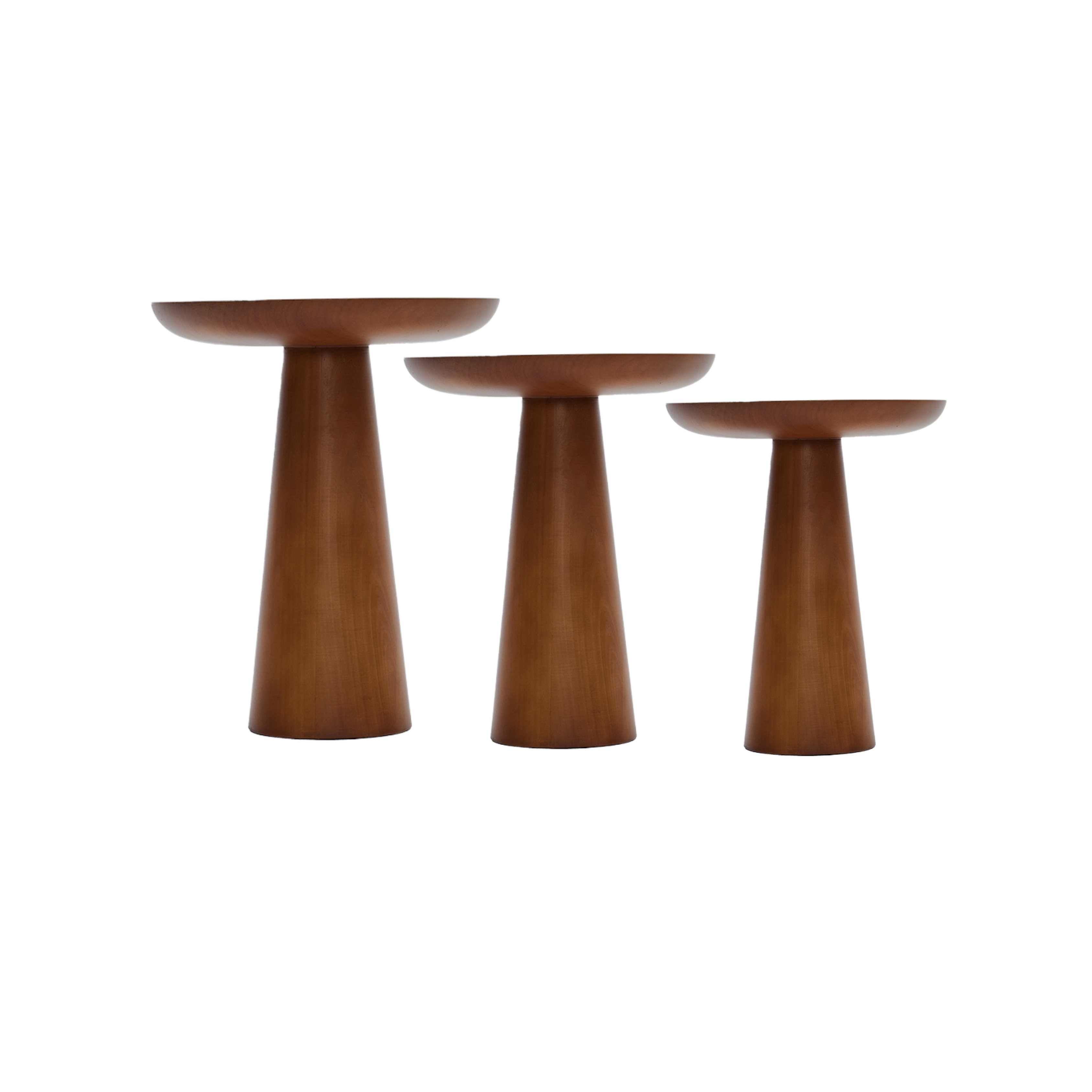 Mantar Sehpa Seti Ceviz